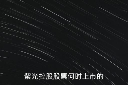 紫光控股股票何時(shí)上市的