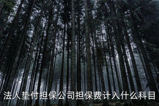 什么是法人墊款，法人代墊款的分錄需有什么附件嗎