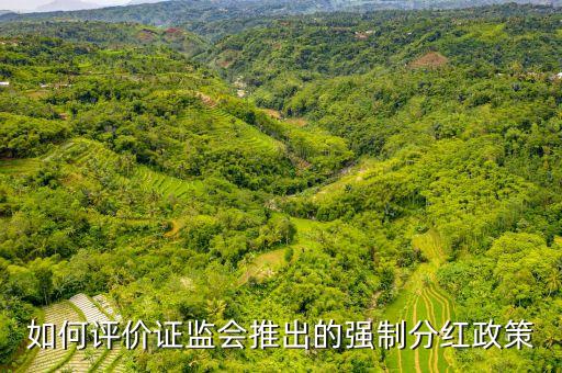 什么是強制分紅，如何評價證監(jiān)會推出的強制分紅政策