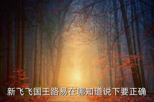 新飛飛國王路易在哪知道說下要正確