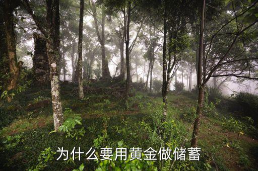 為什么要用黃金做儲蓄