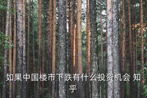 如果中國樓市下跌有什么投資機(jī)會 知乎