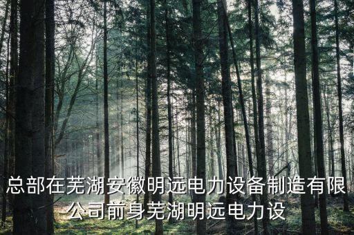 蕪湖豪獅實(shí)業(yè)有限公司什么關(guān)系，蕪湖捷創(chuàng)模具有限公司法人叫什么