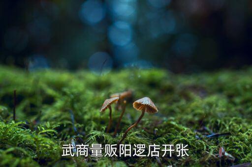 老河口武商什么開業(yè)，武商量販?zhǔn)叩晔鞘裁磿r(shí)候開業(yè)的