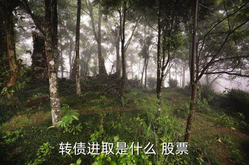 轉(zhuǎn)債進(jìn)取股票是什么股票，轉(zhuǎn)債進(jìn)取是什么 股票