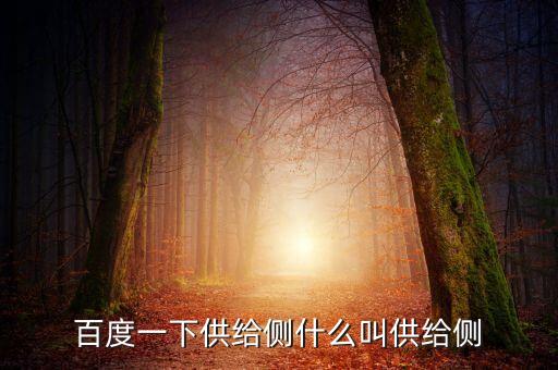 百度一下供給側什么叫供給側