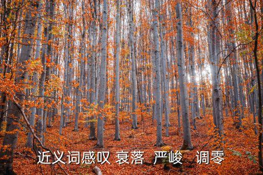 調零的近義詞是什么，近義詞感嘆 衰落  嚴峻   調零