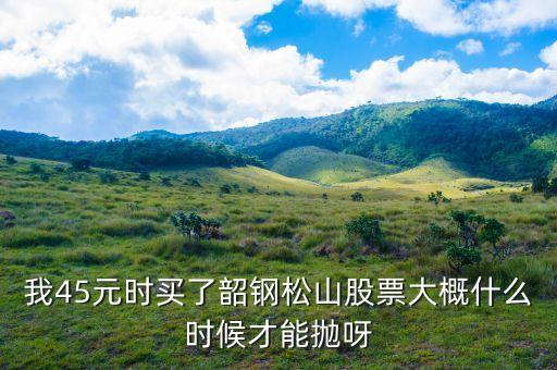 我45元時買了韶鋼松山股票大概什么時候才能拋呀