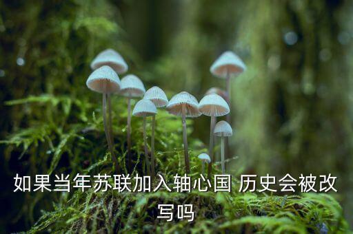 為什么不重組蘇聯(lián)，白羊座的特點