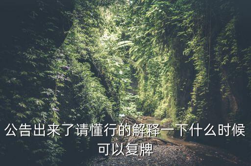 公告出來了請懂行的解釋一下什么時候可以復牌