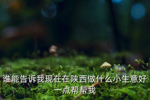 陜北做什么生意好，誰能告訴我現(xiàn)在在陜西做什么小生意好一點幫幫我