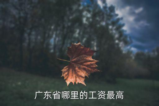 廣東工資最高什么地方，廣東什么地方打工工資最高