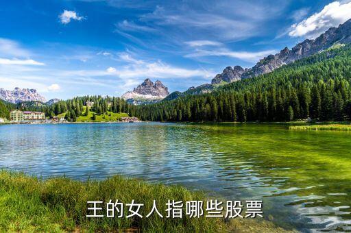 證金為什么要持梅雁吉祥的股票，王的女人指哪些股票