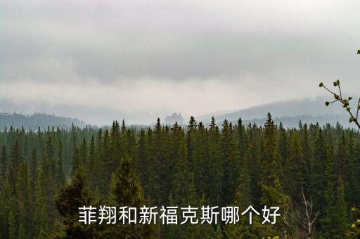 菲翔和新?？怂鼓膫€好