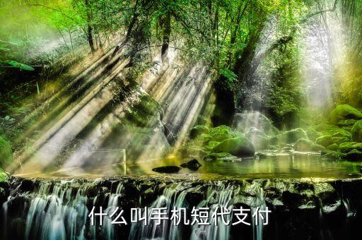 什么事短代支付，短代是什么意思
