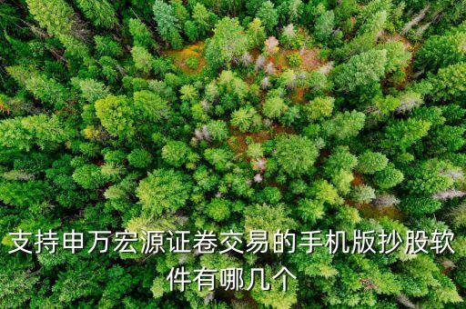 支持申萬宏源證卷交易的手機(jī)版抄股軟件有哪幾個