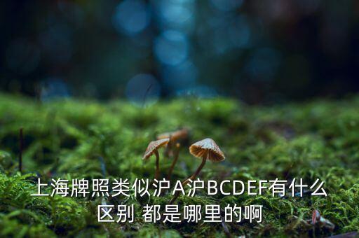 上海市政府牌照是滬什么，上海的車牌是滬還是浦