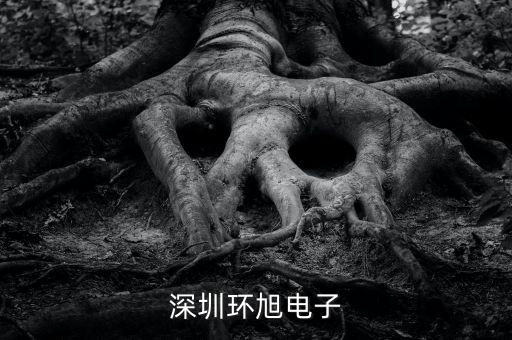 環(huán)旭電子經(jīng)營什么，上海環(huán)旭電子有限公司在什么地方