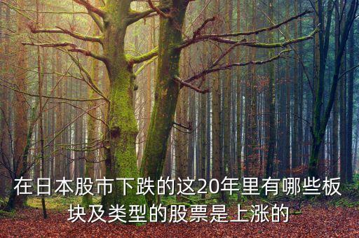 日本股市崩盤能買什么，在日本股市下跌的這20年里有哪些板塊及類型的股票是上漲的