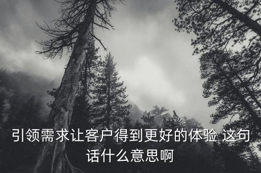 什么是引領(lǐng)需求，引領(lǐng)需求讓客戶得到更好的體驗 這句話什么意思啊