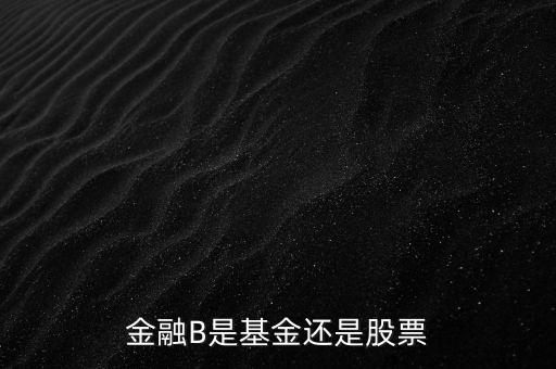 銀行b端是什么股票，金融B是基金還是股票