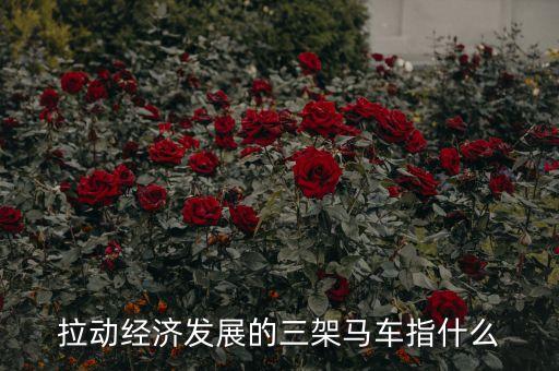 拉動經(jīng)濟發(fā)展的三架馬車指什么