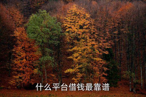 什么平臺(tái)借錢安全可靠，借錢哪個(gè)平臺(tái)靠譜