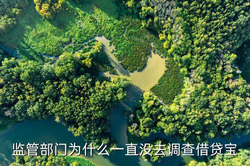 E租寶都抓了為什么不抓借貸寶，公安怎么不查借貸寶