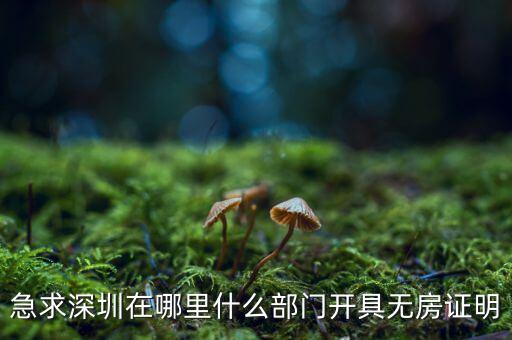 坪山國(guó)土局在什么地方，深圳哪座山比較有趣