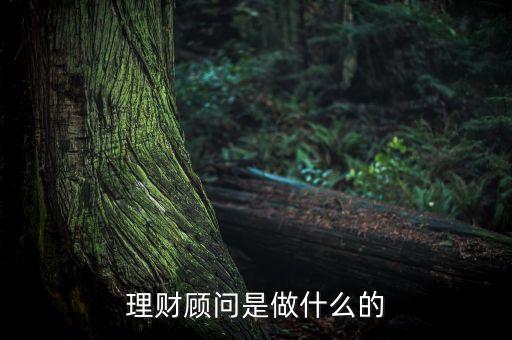 理財顧問是做什么的
