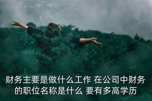 105團財務(wù)是做什么的，財務(wù)主要是做什么工作 在公司中財務(wù)的職位名稱是什么 要有多高學(xué)歷
