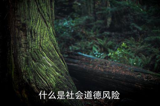 什么是社會(huì)風(fēng)險(xiǎn)，什么是社會(huì)道德風(fēng)險(xiǎn)