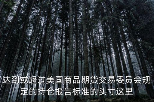 達(dá)到或超過美國(guó)商品期貨交易委員會(huì)規(guī)定的持倉(cāng)報(bào)告標(biāo)準(zhǔn)的頭寸這里