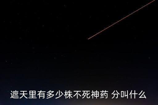神藥代表什么，圣經(jīng)黃金沫藥什么含義