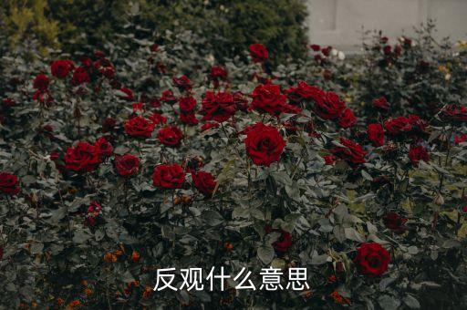 反觀當下是什么意思，求英語大神翻譯反觀當下