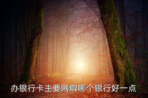 辦銀行卡主要網(wǎng)購(gòu)哪個(gè)銀行好一點(diǎn)