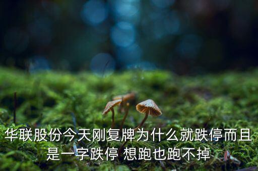 華聯(lián)股份今天剛復(fù)牌為什么就跌停而且是一字跌停 想跑也跑不掉