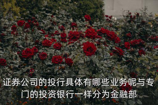 國內(nèi)券商投行部在做什么，國有四大行的投行部在做什么