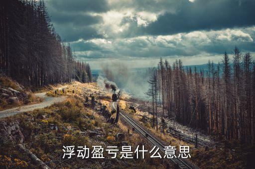 浮動(dòng)盈虧60是什么意思，浮動(dòng)盈虧是什么意思
