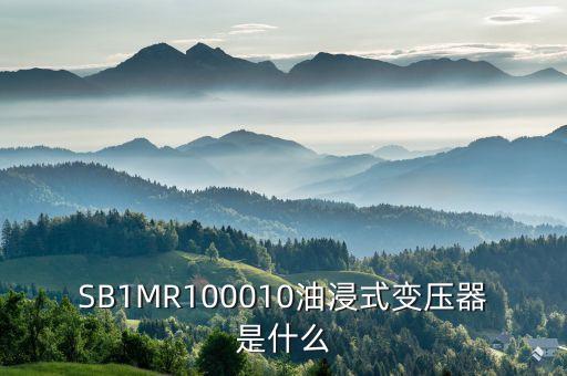 油浸式變壓器什么是酚推，SB1MR100010油浸式變壓器是什么