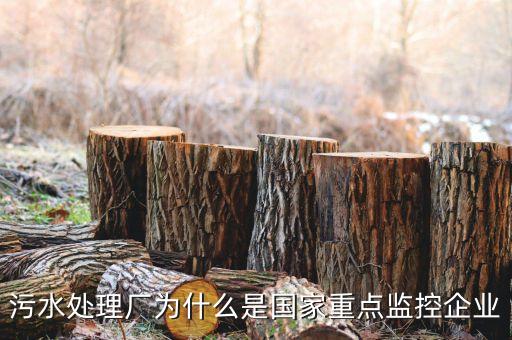重點(diǎn)監(jiān)控企業(yè)為什么，稅務(wù)局來(lái)電要我們公處理重點(diǎn)監(jiān)控是什么意思