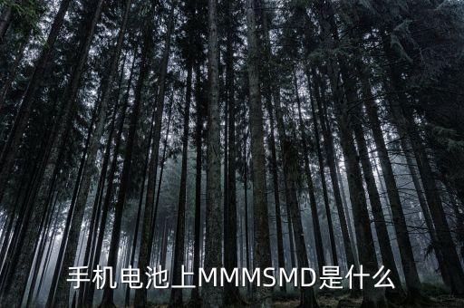 什么是電力儲(chǔ)能，手機(jī)電池上MMMSMD是什么