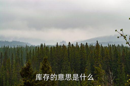 庫存重估是什么意思，庫存的意思是什么