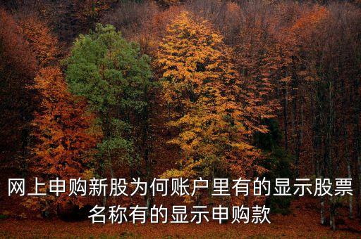 網(wǎng)上申購(gòu)新股為何賬戶里有的顯示股票名稱有的顯示申購(gòu)款