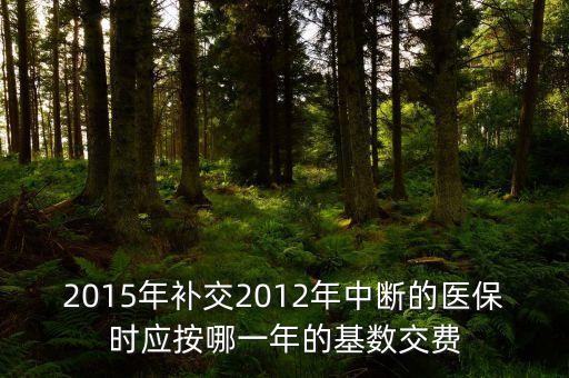 2015年補交2012年中斷的醫(yī)保時應(yīng)按哪一年的基數(shù)交費