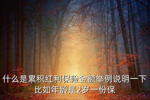 什么是累積紅利保險金額舉例說明一下比如年齡是2歲一份保
