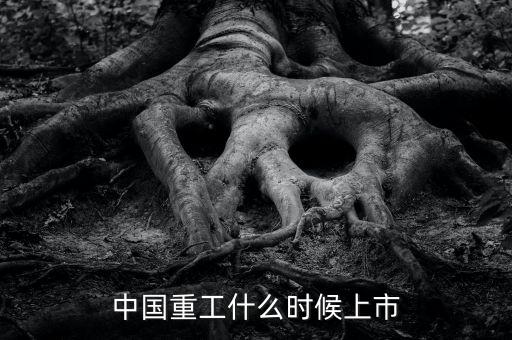 中國重工什么時候增發(fā)，中國重工上市時間