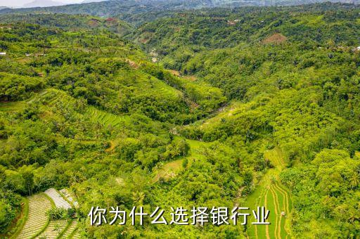 為什么對(duì)銀行業(yè)感興趣，問(wèn)題你對(duì)銀行哪一方面最感興趣