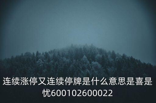 600139連續(xù)停牌是什么意思，股票連續(xù)停牌是什么意思