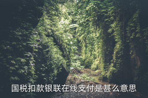 銀聯(lián)劃扣跟連連支付有什么區(qū)別，國稅扣款銀聯(lián)在線支付是甚么意思